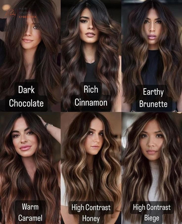 All Over Color for Dark Hair A close-up of dark hair with rich, full coverage of an all-over deep brown color, showcasing healthy shine.