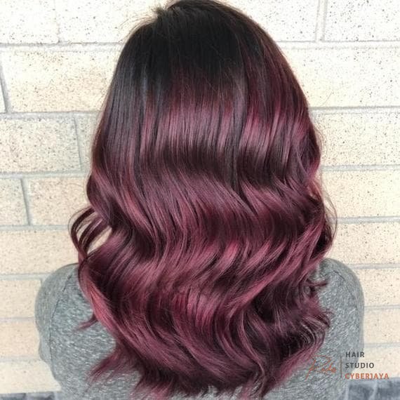Expert plum hair color application Professional achieving vibrant plum hair color