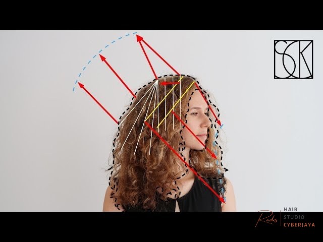 HOW TO CUT CURLY HAIR (LAYERS) - TUTORIAL WITH CUTTING DIAGRAM by SCK - YouTube