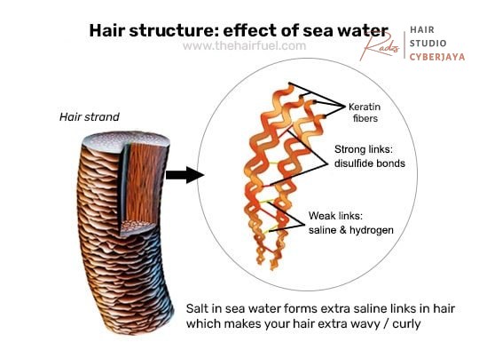 IS SEA WATER GOOD FOR YOUR HAIR? – The Hair Fuel IS SEA WATER GOOD FOR YOUR HAIR? – The Hair Fuel