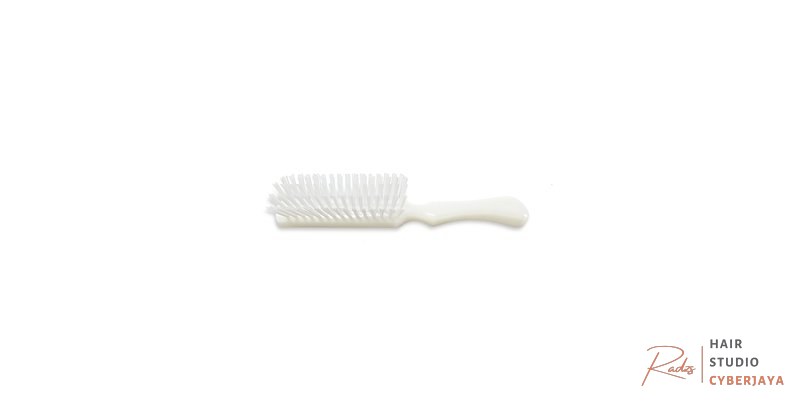 Stanley Lady Catherine Hairbrush Stanley Home Products Lady Catherine Essentials Hairbrush